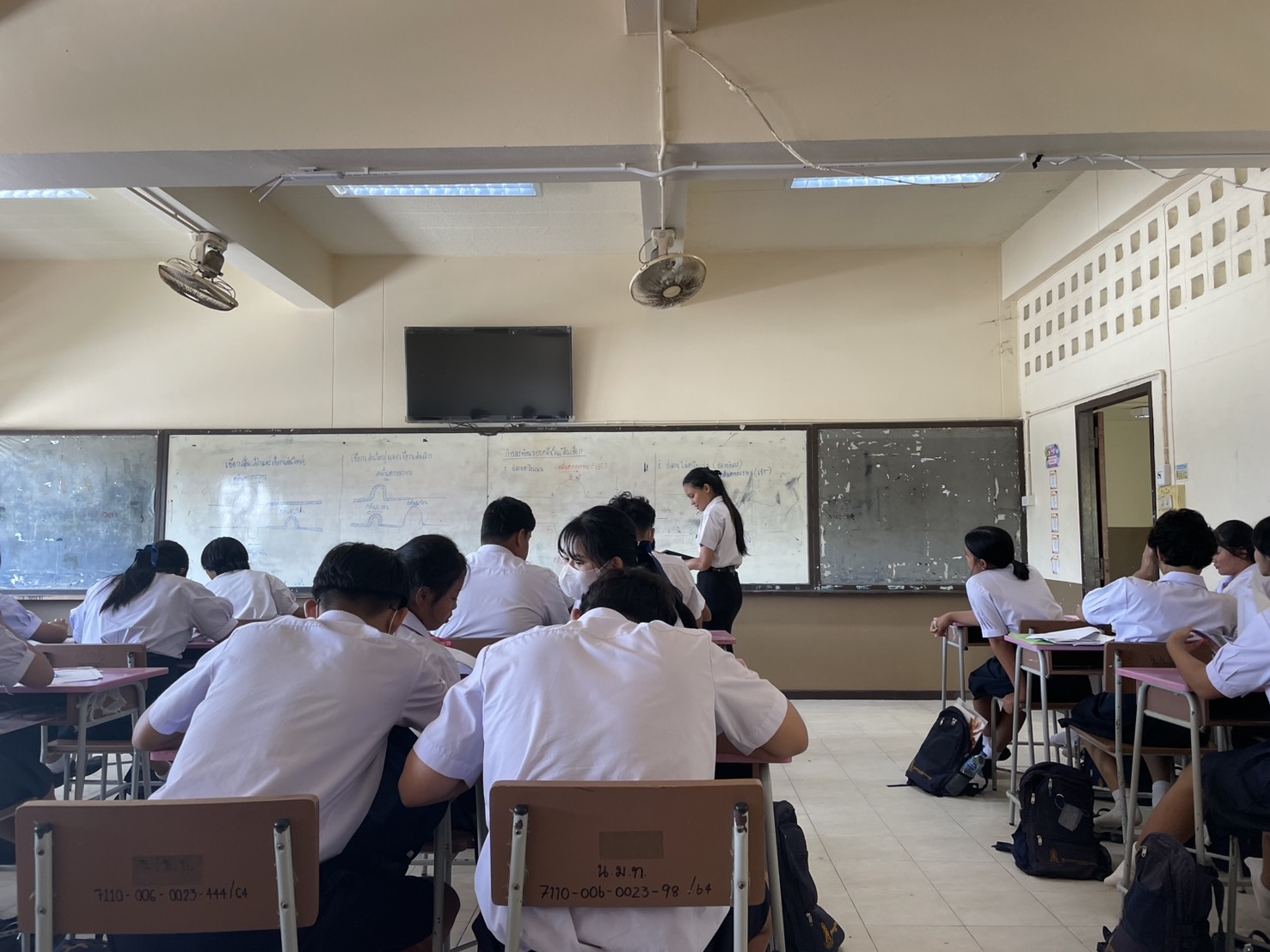 Experience Year 2 - Image 6